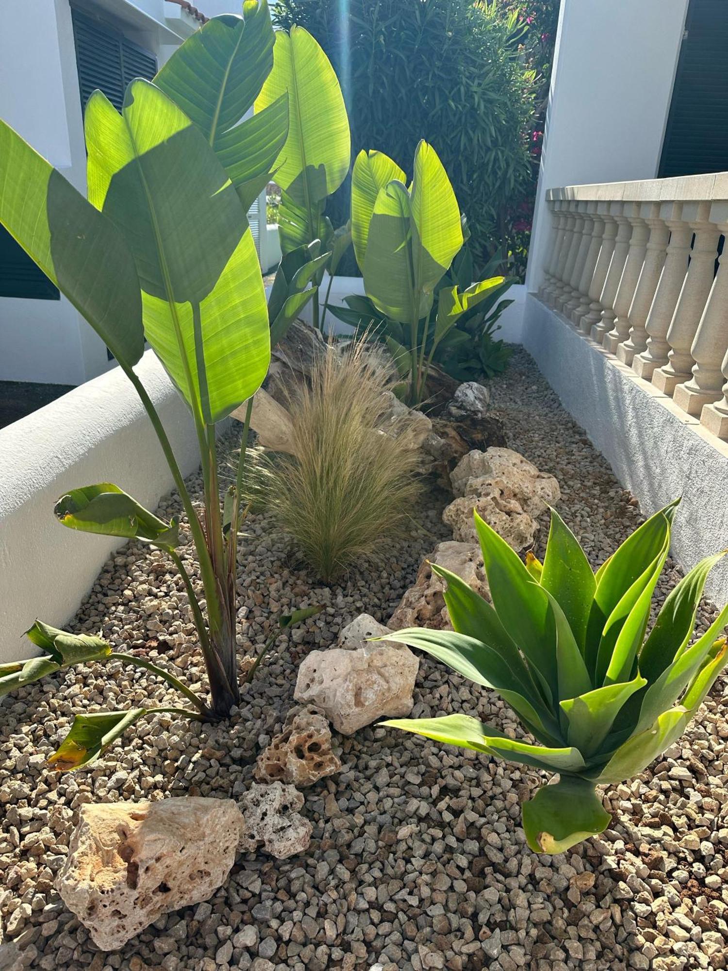 Villa Diplomado 埃斯·梅卡达尔 外观 照片